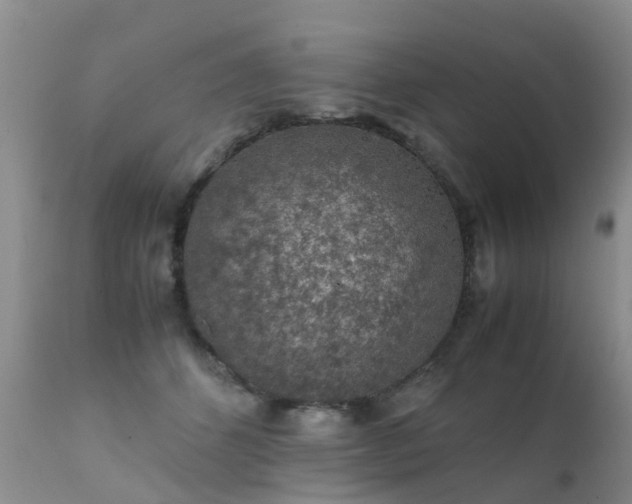 X0000112110512200908111446