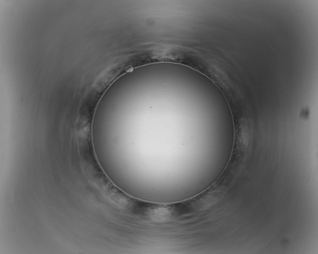 X0000112110513200908111446