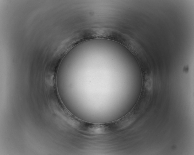 X0000112110514200908111445