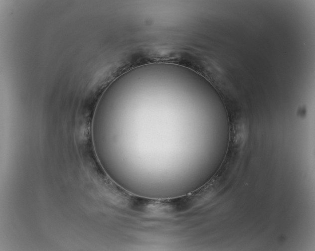 X0000112110515200908111445