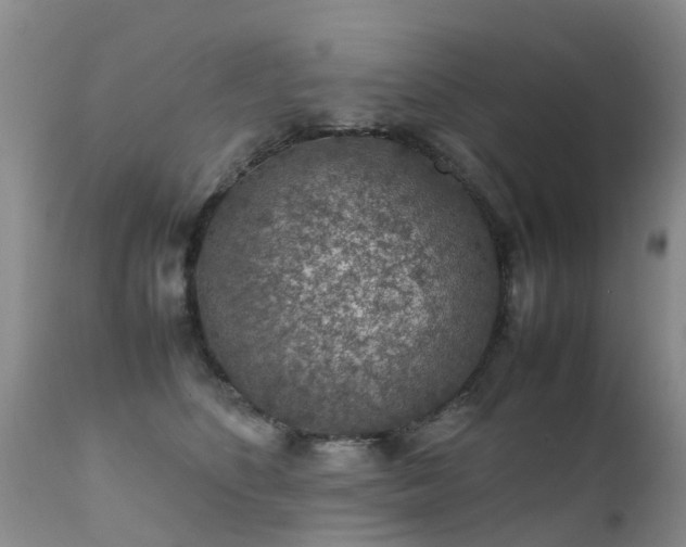 X0000112110516200908111445