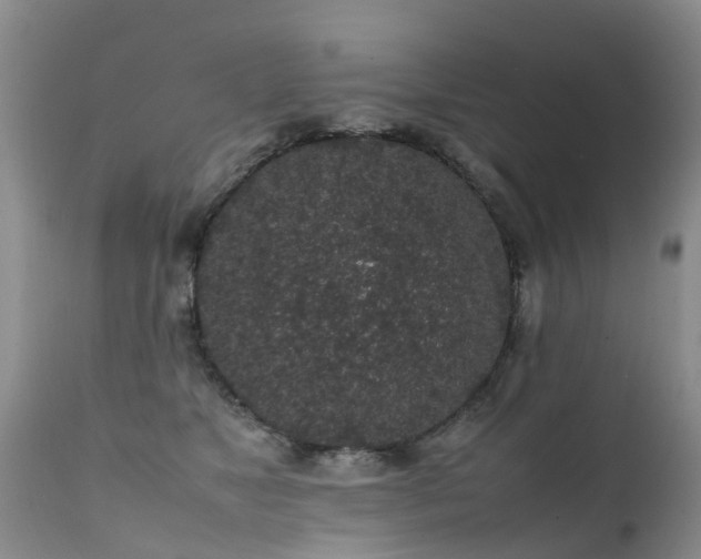 X0000112110517200908111445