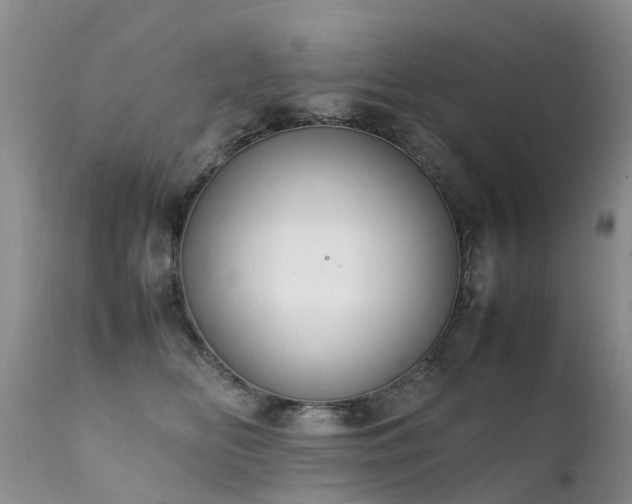 X0000112110518200908111445