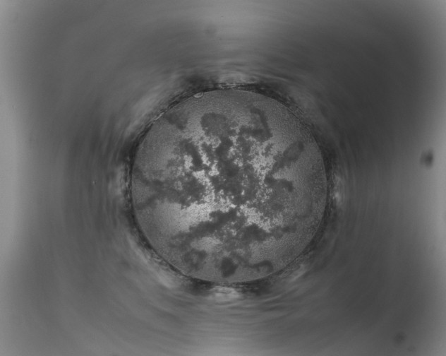 X0000112110519200908111445