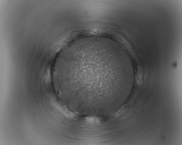 X0000112110520200908111445