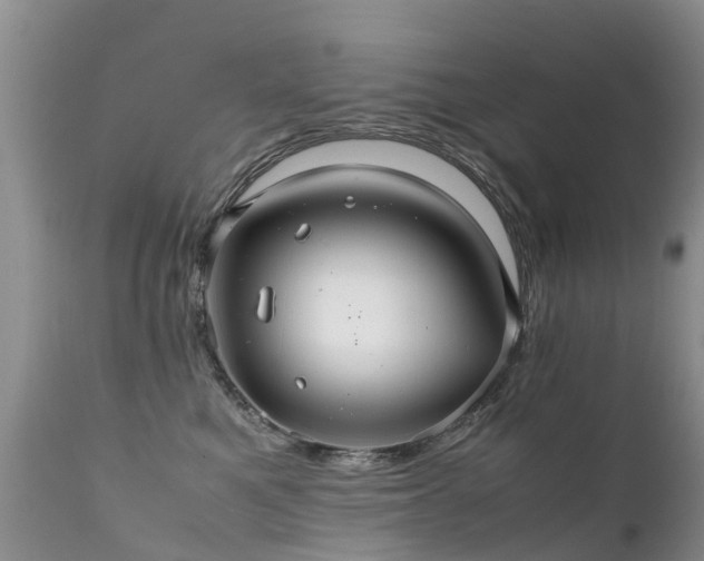 X0000112110521200908111445