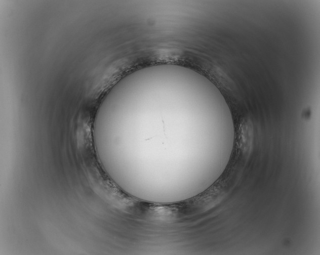 X0000112110522200908111445