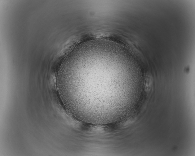 X0000112110523200908111445