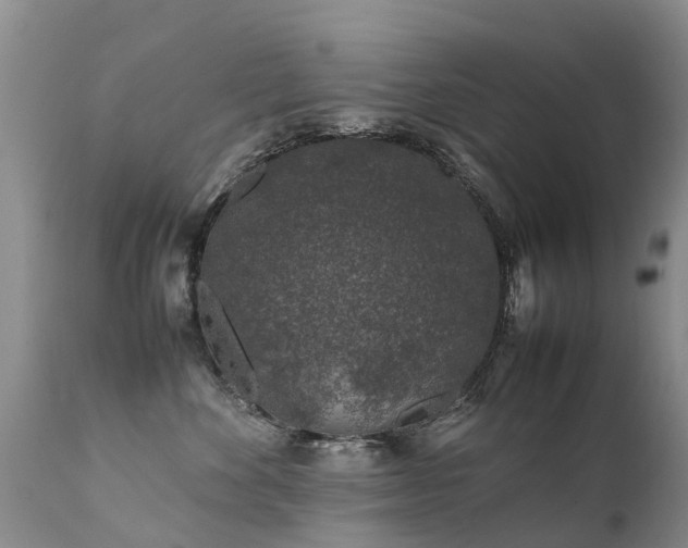 X0000112110524200908111445