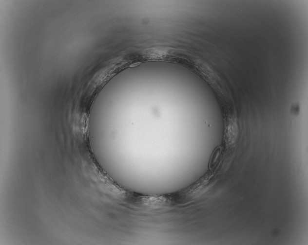 X0000112110525200908111445