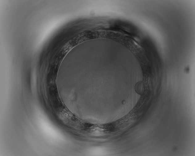 X0000112110526200908111445