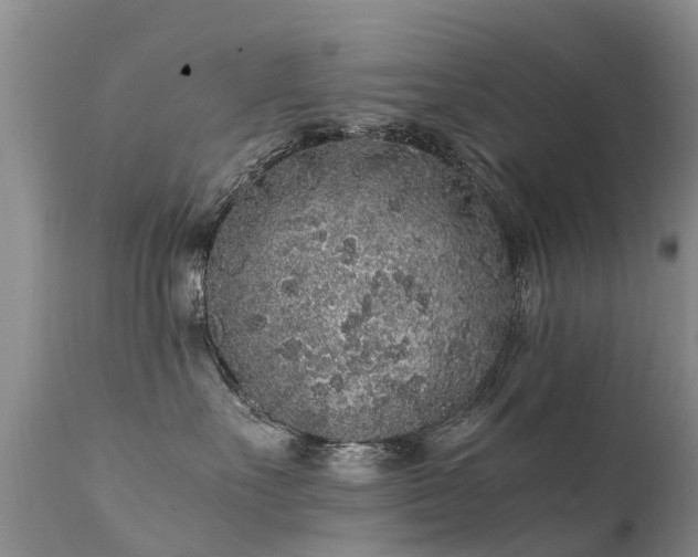 X0000112110527200908111445