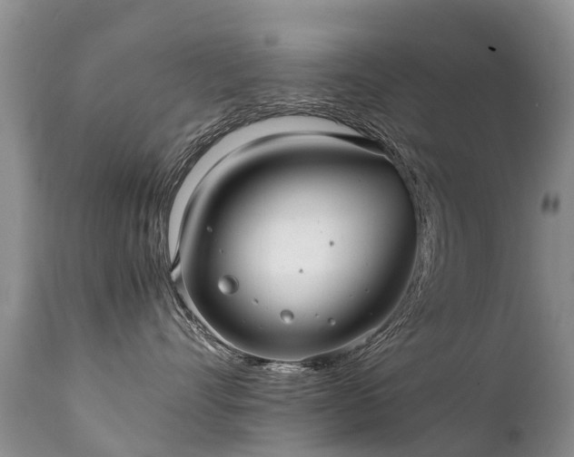 X0000112110528200908111445