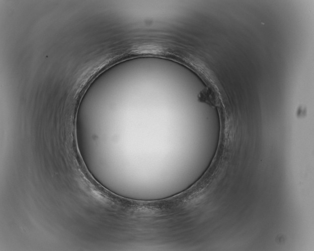 X0000112110529200908111444