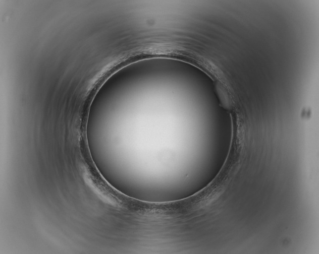 X0000112110530200908111444