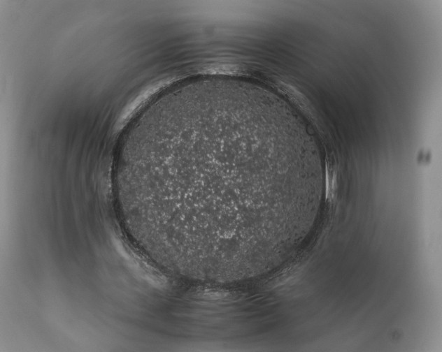 X0000112110531200908111444