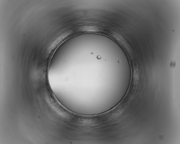 X0000112110533200908111444