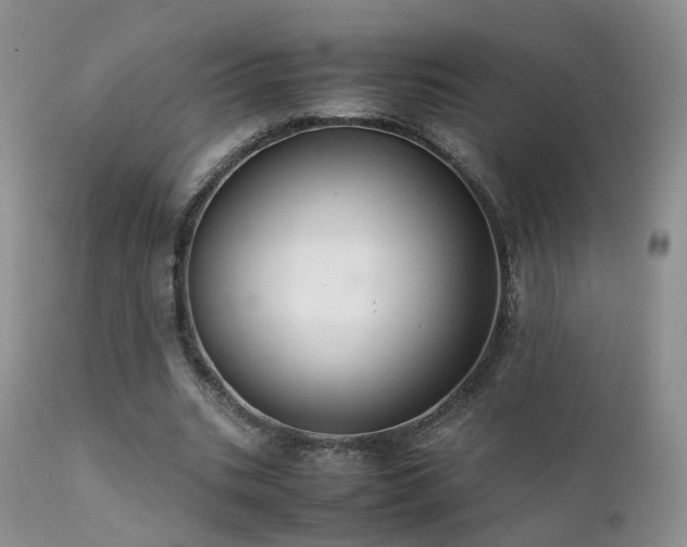 X0000112110535200908111444