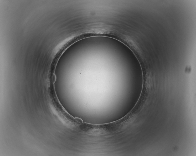 X0000112110536200908111444