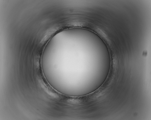 X0000112110537200908111444