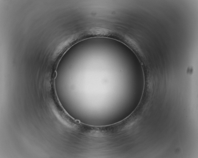 X0000112110538200908111444