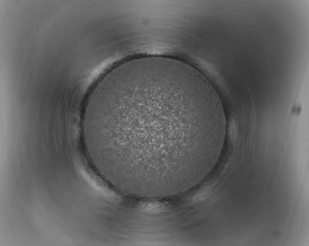 X0000112110540200908111444