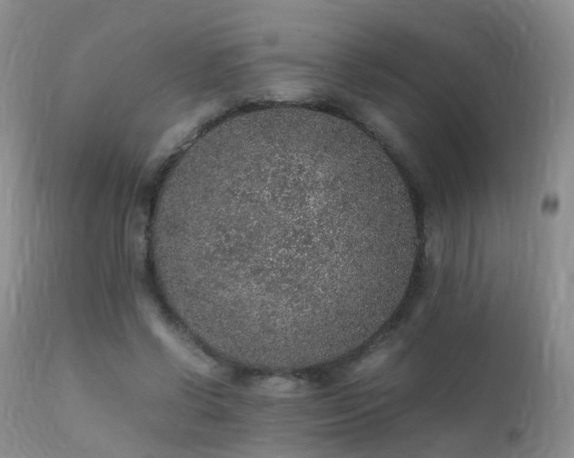 X0000112110542200908111444