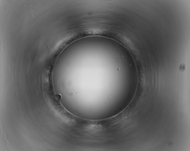 X0000112110543200908111444