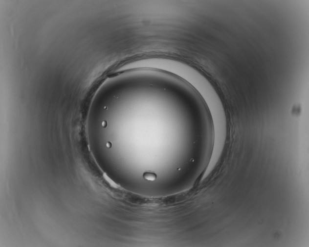 X0000112110544200908111445