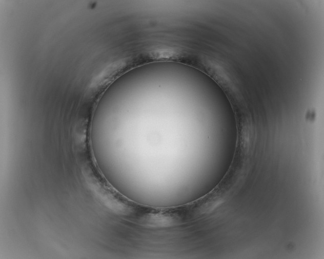 X0000112110545200908111445