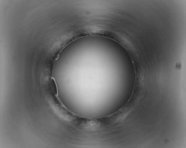 X0000112110546200908111445