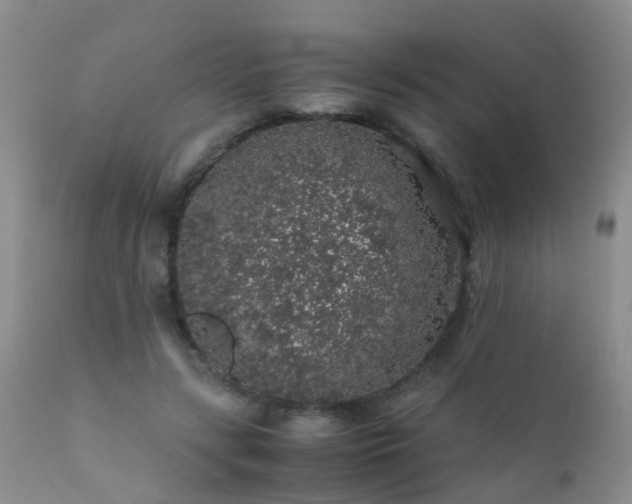 X0000112110547200908111445