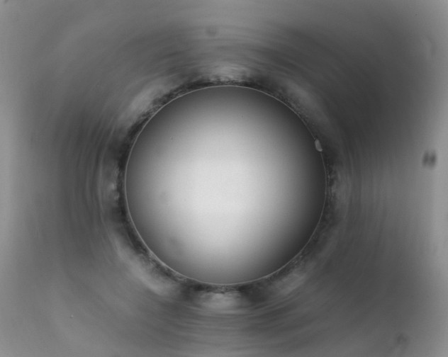 X0000112110548200908111445