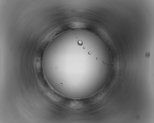 X0000112110549200908111445