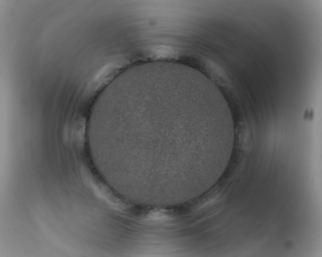 X0000112110550200908111445