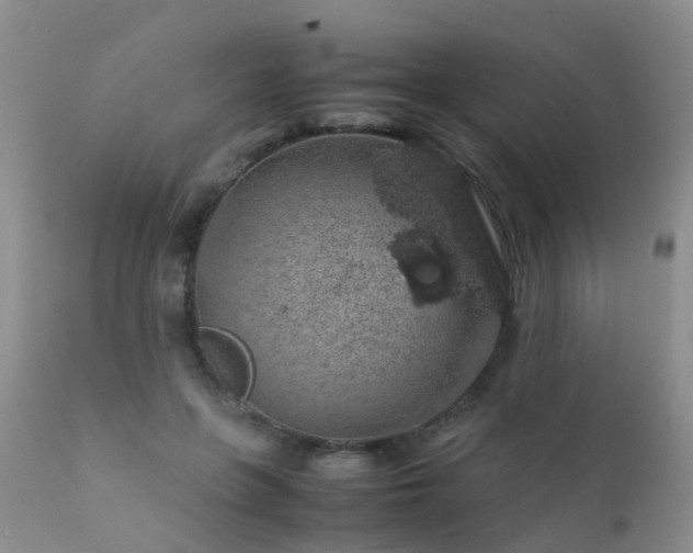 X0000112110551200908111445