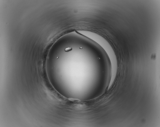 X0000112110552200908111445