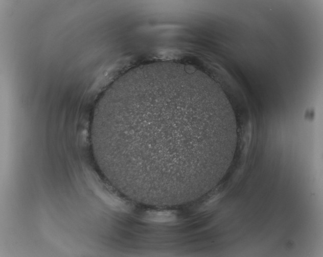 X0000112110553200908111445