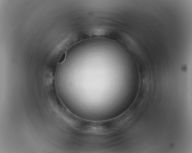 X0000112110555200908111445