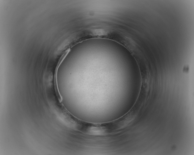 X0000112110556200908111445