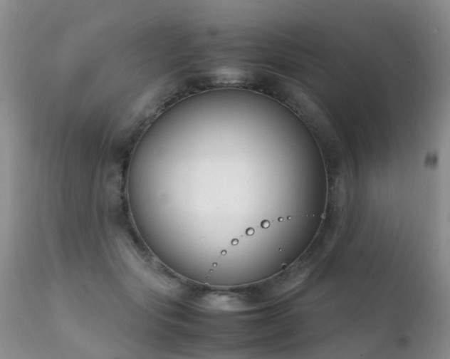 X0000112110557200908111445