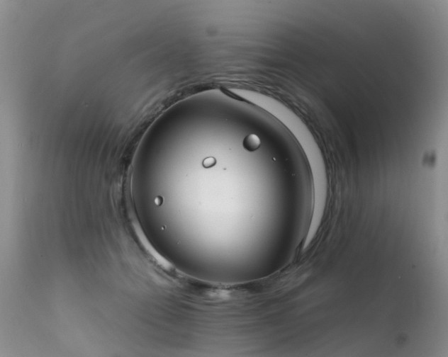 X0000112110558200908111445