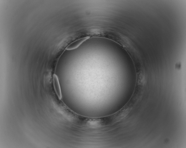 X0000112110560200908111445