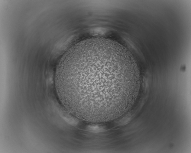 X0000112110561200908111445