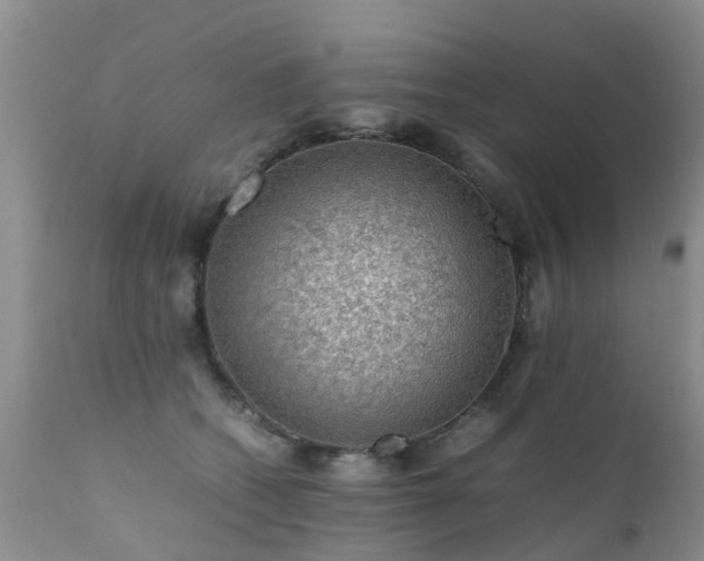 X0000112110562200908111445