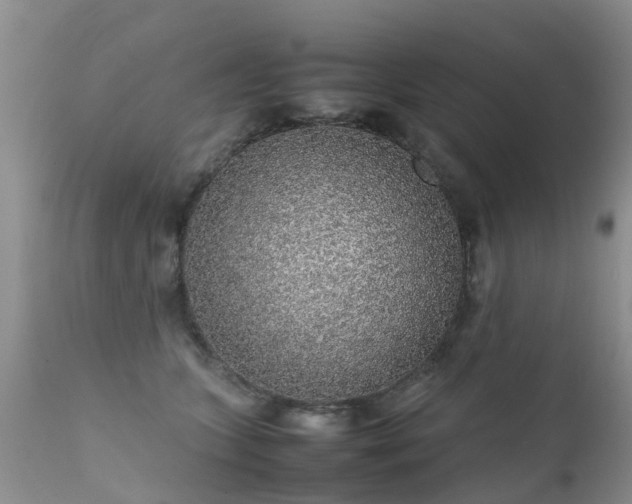 X0000112110563200908111445