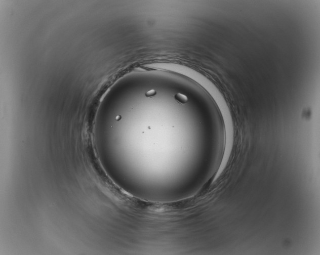 X0000112110564200908111445