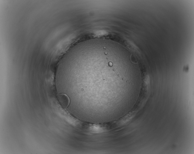 X0000112110565200908111445