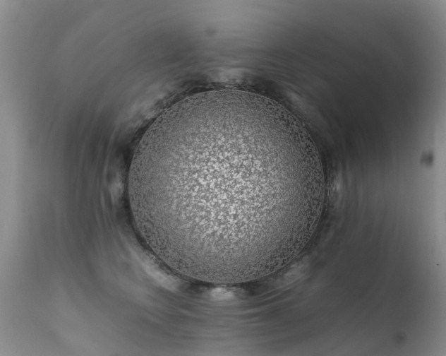 X0000112110566200908111445