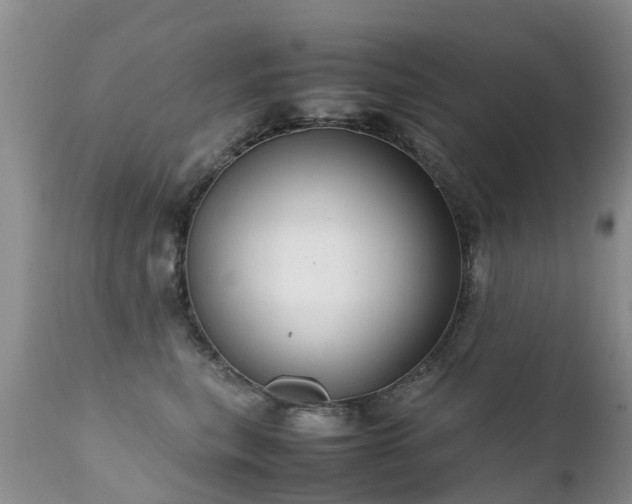 X0000112110567200908111445